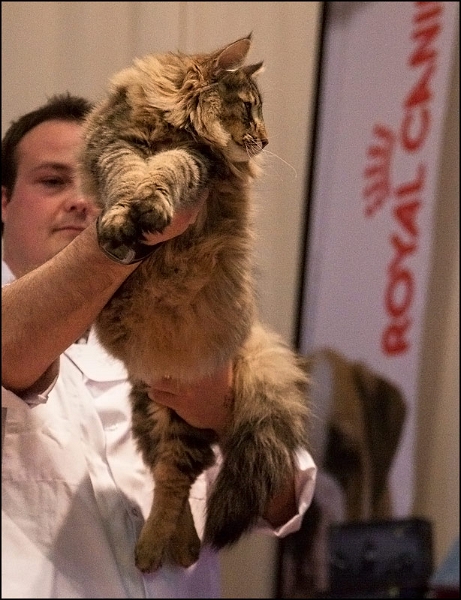 Inconnu 18.jpg - Inconnu